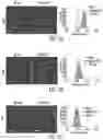 Fig. 08 - OLIGONUCLEOTIDE-POLYMER MIKTOARM CONJUGATES AND METHODS OF USE