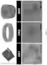 Fig. 05 - Nucleic acid nanostructures crosslinked with oligolysine