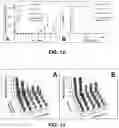 Fig. 09 - Polymer-based macromolecular prodrugs
