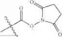 Fig. 66 - PROGRAMMABLE POLYMERIC DRUGS