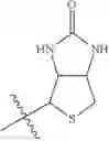 Fig. 78 - PROGRAMMABLE POLYMERIC DRUGS