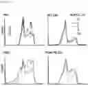 Fig. 03 - CP2C-TARGETING PEPTIDE-BASED ANTICANCER AGENT