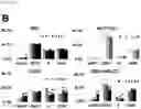 Fig. 04 - CP2C-TARGETING PEPTIDE-BASED ANTICANCER AGENT