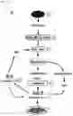 Fig. 12 - CP2C-TARGETING PEPTIDE-BASED ANTICANCER AGENT
