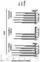 Fig. 131 - CP2C-TARGETING PEPTIDE-BASED ANTICANCER AGENT