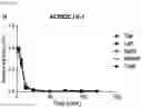 Fig. 20 - CP2C-TARGETING PEPTIDE-BASED ANTICANCER AGENT