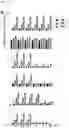 Fig. 31 - CP2C-TARGETING PEPTIDE-BASED ANTICANCER AGENT