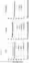Fig. 46 - CP2C-TARGETING PEPTIDE-BASED ANTICANCER AGENT