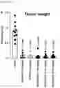 Fig. 55 - CP2C-TARGETING PEPTIDE-BASED ANTICANCER AGENT
