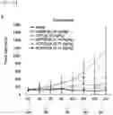 Fig. 63 - CP2C-TARGETING PEPTIDE-BASED ANTICANCER AGENT