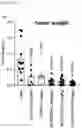 Fig. 65 - CP2C-TARGETING PEPTIDE-BASED ANTICANCER AGENT