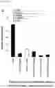 Fig. 68 - CP2C-TARGETING PEPTIDE-BASED ANTICANCER AGENT