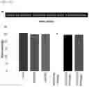 Fig. 69 - CP2C-TARGETING PEPTIDE-BASED ANTICANCER AGENT