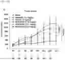 Fig. 83 - CP2C-TARGETING PEPTIDE-BASED ANTICANCER AGENT