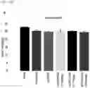 Fig. 89 - CP2C-TARGETING PEPTIDE-BASED ANTICANCER AGENT