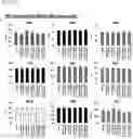 Fig. 90 - CP2C-TARGETING PEPTIDE-BASED ANTICANCER AGENT