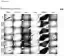 Fig. 91 - CP2C-TARGETING PEPTIDE-BASED ANTICANCER AGENT