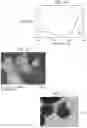 Fig. 04 - SINGLE NIR IRRADIATION TRIGGERED UPCONVERSION NANO SYSTEM FOR SYNERGISTIC PHOTODYNAMIC AND PHOTOTHERMAL CANCER THERAPY