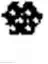 Fig. 02 - OPTIMISED RAG1 DEFICIENT GENE THERAPY