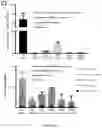 Fig. 03 - OPTIMISED RAG1 DEFICIENT GENE THERAPY