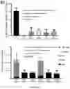 Fig. 05 - OPTIMISED RAG1 DEFICIENT GENE THERAPY