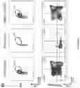 Fig. 11 - OPTIMISED RAG1 DEFICIENT GENE THERAPY
