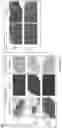 Fig. 13 - OPTIMISED RAG1 DEFICIENT GENE THERAPY