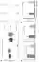 Fig. 14 - OPTIMISED RAG1 DEFICIENT GENE THERAPY