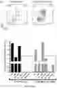 Fig. 19 - OPTIMISED RAG1 DEFICIENT GENE THERAPY