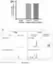 Fig. 20 - OPTIMISED RAG1 DEFICIENT GENE THERAPY