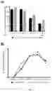 Fig. 26 - OPTIMISED RAG1 DEFICIENT GENE THERAPY