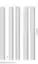 Fig. 32 - OPTIMISED RAG1 DEFICIENT GENE THERAPY
