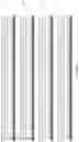 Fig. 39 - OPTIMISED RAG1 DEFICIENT GENE THERAPY