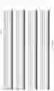 Fig. 40 - OPTIMISED RAG1 DEFICIENT GENE THERAPY