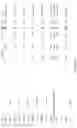Fig. 57 - OPTIMISED RAG1 DEFICIENT GENE THERAPY