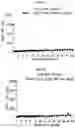 Fig. 03 - GENE THERAPY METHODS