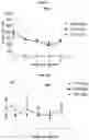Fig. 04 - GENE THERAPY METHODS