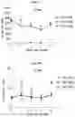 Fig. 05 - GENE THERAPY METHODS