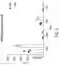 Fig. 11 - Gene therapy vectors for treating heart disease