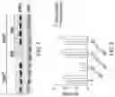 Fig. 13 - Gene therapy vectors for treating heart disease