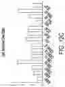 Fig. 19 - Gene therapy vectors for treating heart disease