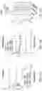 Fig. 20 - Gene therapy vectors for treating heart disease