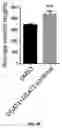 Fig. 12 - Method for stimulating axonal regeneration