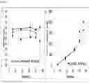 Fig. 04 - CT CONTRAST AGENT FOR DETECTION OF CACHEXIA