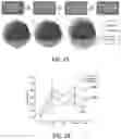 Fig. 15 - Stimuli-Responsive Compositions, Imaging Systems, and Methods for Using the Same for Biomedical Applications