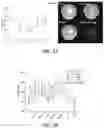 Fig. 16 - Stimuli-Responsive Compositions, Imaging Systems, and Methods for Using the Same for Biomedical Applications