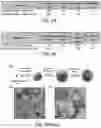Fig. 19 - Stimuli-Responsive Compositions, Imaging Systems, and Methods for Using the Same for Biomedical Applications