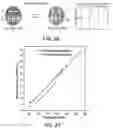 Fig. 20 - Stimuli-Responsive Compositions, Imaging Systems, and Methods for Using the Same for Biomedical Applications