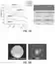 Fig. 29 - Stimuli-Responsive Compositions, Imaging Systems, and Methods for Using the Same for Biomedical Applications