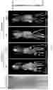 Fig. 03 - PEPTIDE PET/SPECT PROBES SPECIFIC TO ONCOPROTEINS IN TUMOR EXTRACELLULAR MATRIX